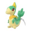 Photo1: Pokemon Center 2023 Pokemon fit Mini Plush #496 Servine doll Toy (1)