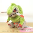 Photo4: Pokemon Center 2023 Pokemon fit Mini Plush #611 Fraxure doll Toy (4)