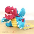 Photo4: Pokemon Center 2023 Pokemon fit Mini Plush #621 Druddigon doll Toy (4)