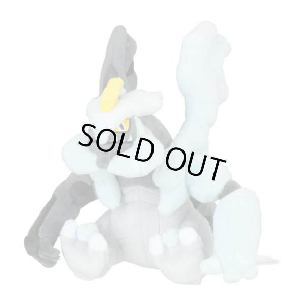 Photo1: Pokemon Center 2023 Pokemon fit Mini Plush #646 Black Kyurem doll Toy (1)