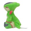 Photo2: Pokemon Center 2023 Pokemon fit Mini Plush #640 Virizion doll Toy (2)