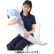 Photo8: Pokemon Center 2023 Hug Cushion Plush doll Dratini (8)