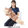 Photo9: Pokemon Center 2023 Hug Cushion Plush doll Furret (9)