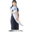 Photo7: Pokemon Center 2023 Hug Cushion Plush doll Dratini (7)