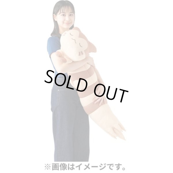 Photo7: Pokemon Center 2023 Hug Cushion Plush doll Furret (7)