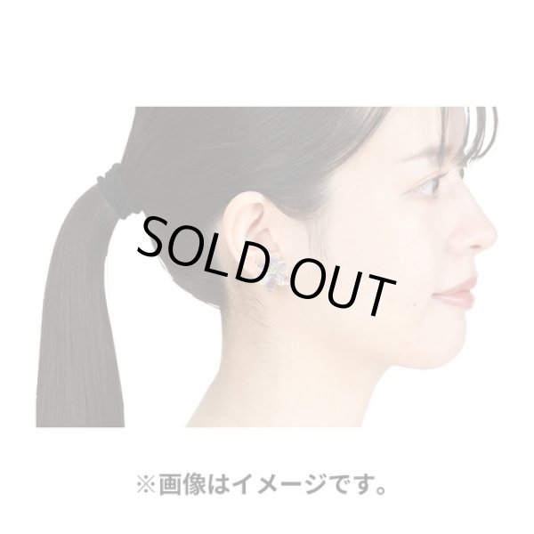 Photo3: Pokemon Center 2023 Pokemon accessory Series Pierced Earrings P94 (3)