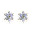 Photo1: Pokemon Center 2023 Pokemon accessory Series Pierced Earrings P94 (1)