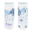 Photo1: Pokemon Center 2023 Socks for Women 23 - 25 cm 1 Pair Short Cetoddle (1)