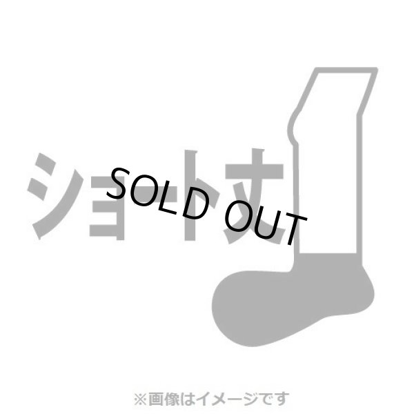 Photo3: Pokemon Center 2023 Socks for Women 23 - 25 cm 1 Pair Short Tatsugiri Curly Form (3)