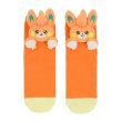 Photo1: Pokemon Center 2023 Plush Socks for Women 23 - 25 cm 1 Pair Pawmi (1)