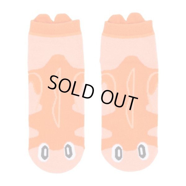 Photo1: Pokemon Center 2023 Socks for Women 23 - 25 cm 1 Pair Short Tatsugiri Curly Form (1)