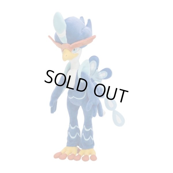 Photo3: Pokemon Center 2023 Quaquaval Plush doll (3)