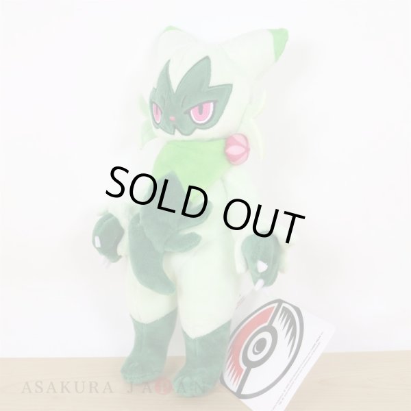 Photo5: Pokemon Center 2023  Floragato Plush doll (5)