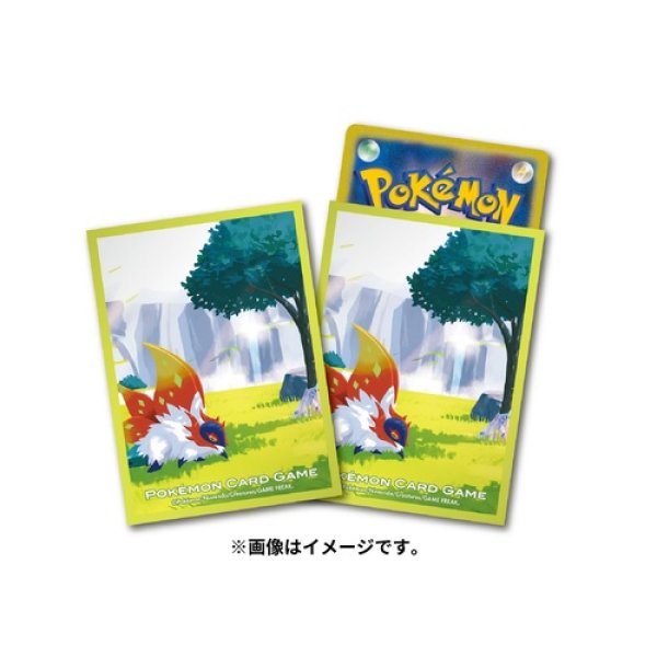 Photo1: Pokemon Center Original Card Game Sleeve Slither Wing Premium Mat ver. 64 sleeves (1)
