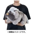 Photo5: Pokemon Center 2023 FUWA-FUWA Fluffy Plush doll Mabosstiff (5)