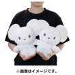 Photo4: Pokemon Center 2023 FUWA-FUWA Fluffy Plush doll Tandemaus (4)