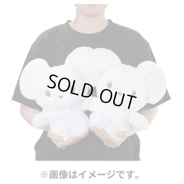 Photo4: Pokemon Center 2023 FUWA-FUWA Fluffy Plush doll Tandemaus (4)