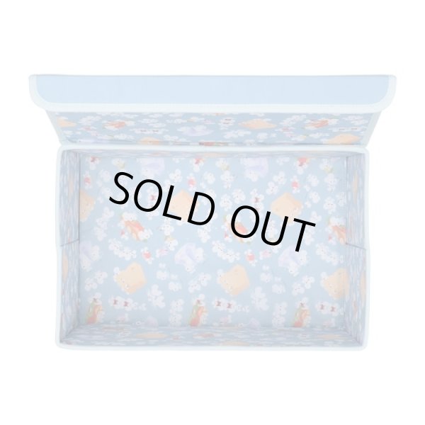 Photo8: Pokemon Center 2023 WAKKA de IKKA Folding storage box (8)