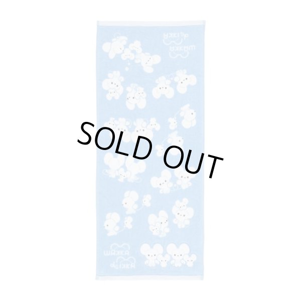 Photo1: Pokemon Center 2023 WAKKA de IKKA Face towel (1)