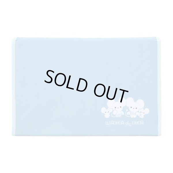 Photo7: Pokemon Center 2023 WAKKA de IKKA Folding storage box (7)