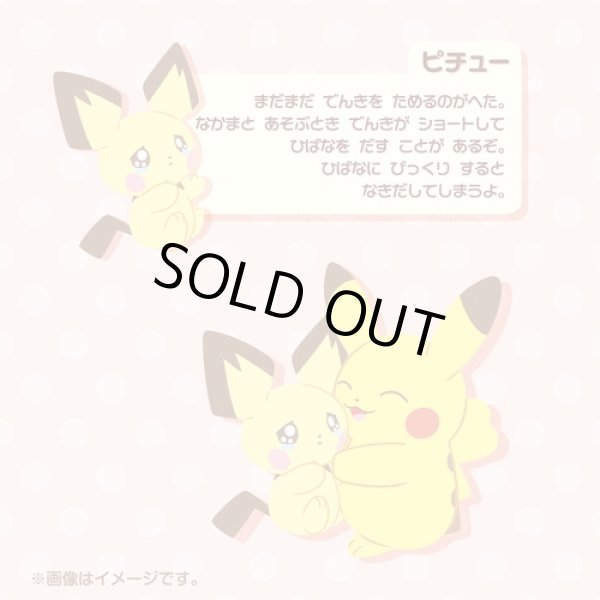Photo6: Pokemon Center 2023 Buru Buru Mugyu! Don't Cry String Hugging Plush doll  Pichu & Pikachu (6)