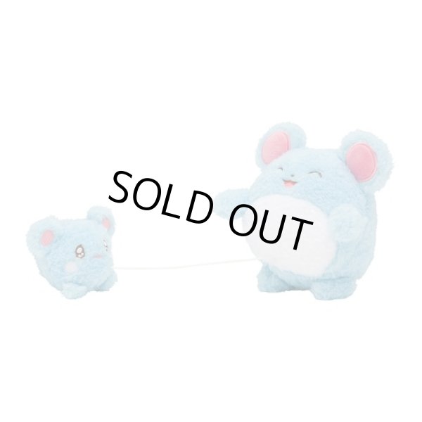 Photo3: Pokemon Center 2023 Buru Buru Mugyu! Don't Cry String Hugging Plush doll Azurill & Marill (3)