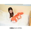 Photo8: Pokemon Center 2023 Hug Cushion Plush doll Tatsugiri Curly Form (8)