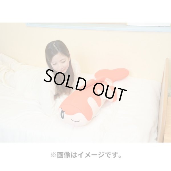 Photo8: Pokemon Center 2023 Hug Cushion Plush doll Tatsugiri Curly Form (8)