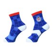 Photo2: Pokemon Center 2023 Socks for Women 23 - 25 cm 1 Pair Middle BLUEBERRY ACADEMY (2)