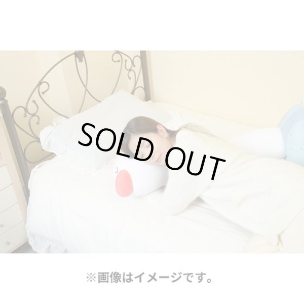 Photo6: Pokemon Center 2023 Hug Cushion Plush doll Wiglett (6)