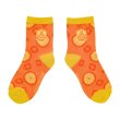 Photo1: Pokemon Center 2023 Socks for Women 23 - 25 cm 1 Pair Middle ORANGE ACADEMY (1)