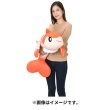 Photo6: Pokemon Center 2023 Hug Cushion Plush doll Tatsugiri Curly Form (6)