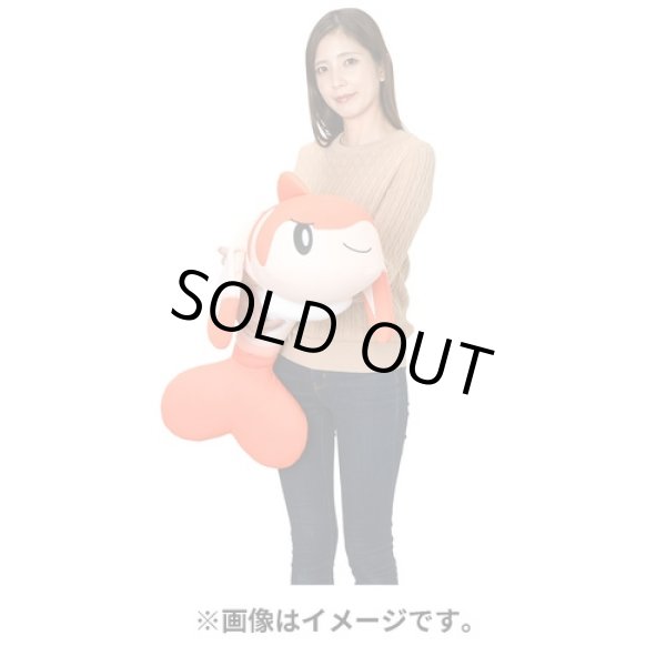 Photo6: Pokemon Center 2023 Hug Cushion Plush doll Tatsugiri Curly Form (6)