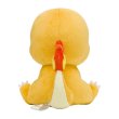 Photo4: Pokemon Center 2024 SAIKO SODA Refresh Charmander Plush doll (4)