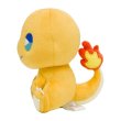 Photo3: Pokemon Center 2024 SAIKO SODA Refresh Charmander Plush doll (3)