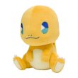 Photo2: Pokemon Center 2024 SAIKO SODA Refresh Charmander Plush doll (2)