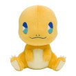 Photo1: Pokemon Center 2024 SAIKO SODA Refresh Charmander Plush doll (1)