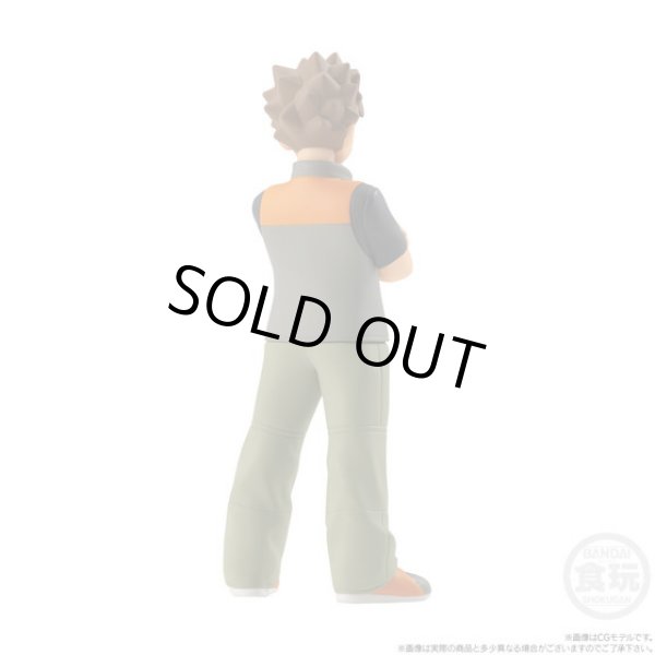 Photo5: BANDAI POKEMON SCALE WORLD Kanto edition "Brock & Onix" 1/20 Figure (5)
