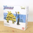 Photo1: BANDAI POKEMON SCALE WORLD Sinnoh edition "Volkner & Electivire" 1/20 Figure (1)