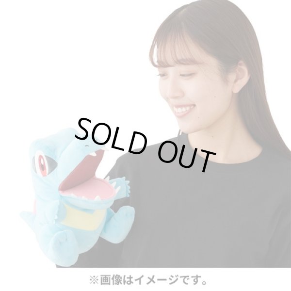 Photo5: Pokemon Center 2024 KAMITSUKI BITE SQUAD Hand Puppet Plush doll Totodile (5)