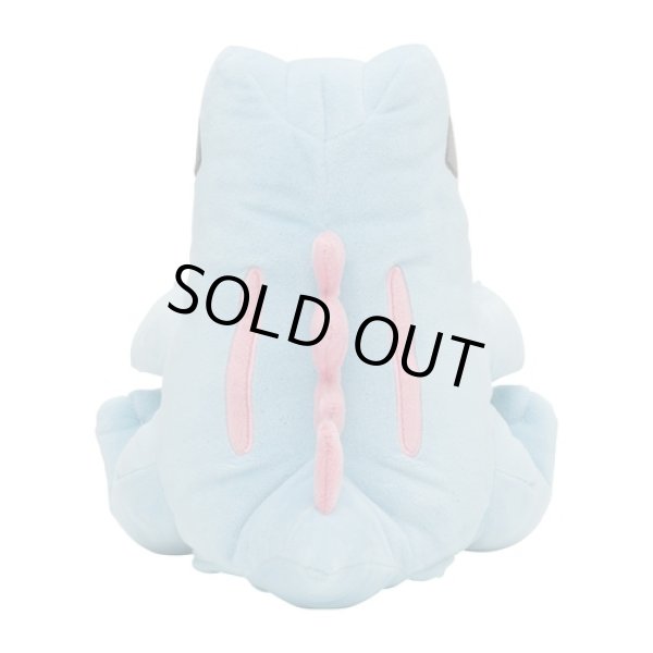 Photo4: Pokemon Center 2024 KAMITSUKI BITE SQUAD Hand Puppet Plush doll Totodile (4)