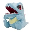 Photo1: Pokemon Center 2024 KAMITSUKI BITE SQUAD Hand Puppet Plush doll Totodile (1)