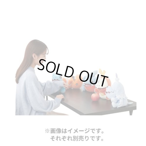 Photo8: Pokemon Center 2024 KAMITSUKI BITE SQUAD Hand Puppet Plush doll Totodile (8)