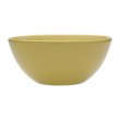 Photo2: Pokemon Center 2024 KAMITSUKI BITE SQUAD Trapinch Porcelain Salad Bowl (2)