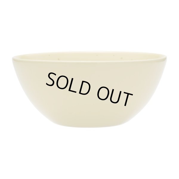 Photo2: Pokemon Center 2024 KAMITSUKI BITE SQUAD Trapinch Porcelain Salad Bowl (2)
