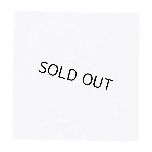 Photo6: Pokemon Center 2024 TREASURED WAY HOME Glasses case with cloth (6)