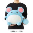 Photo5: Pokemon Center 2024 Mochiricchi Fluffy Plush doll Marill (5)