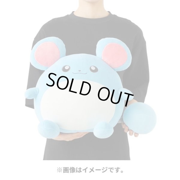 Photo5: Pokemon Center 2024 Mochiricchi Fluffy Plush doll Marill (5)