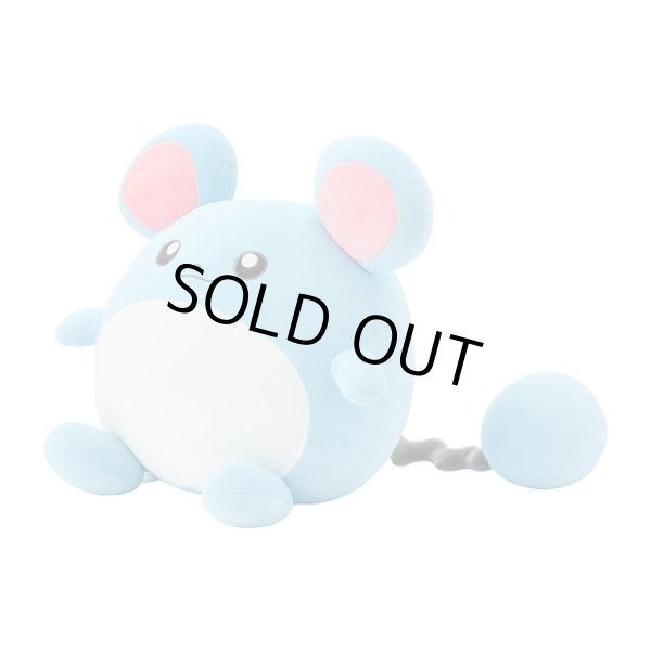 Photo2: Pokemon Center 2024 Mochiricchi Fluffy Plush doll Marill (2)