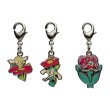 Photo1: Pokemon Center 2024 Metal Charm # 669 670 671 Flabebe Floette Florges (1)